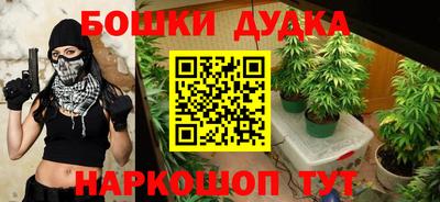 крисы Шахты