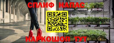крисы Шахты