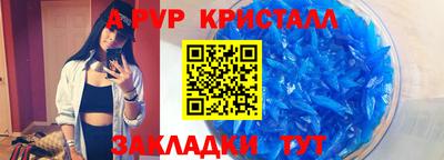 крисы Шахты