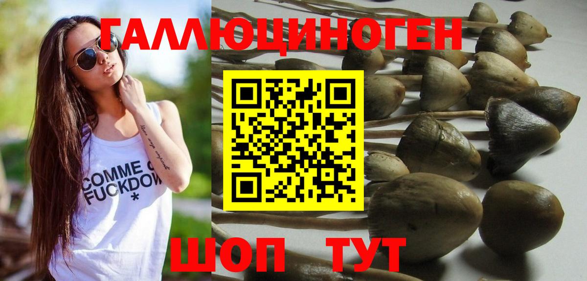 Псилоцибиновые грибы MAGIC MUSHROOMS  Вход с VPN  Ипатово 
